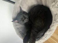 Hallo der kleine maus ist am 08.05.22 auf die welt