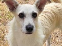 Lara wartet in 21769 Lamstedt Name Lara Geboren: 03.03