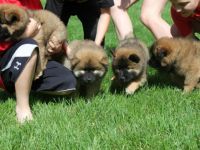 Die Kleinen wachsen bei uns im Haus und GarteDie