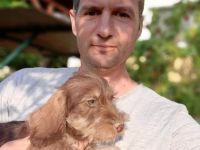 Saint Francis of Assisi