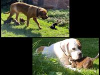 Wir wurden am 14.08.2022 geboren. Die Reise in unser