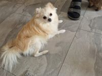 Hallo zusammen, hiermit möchte ich ein schönes zu Hause