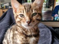 Aus Privaten Gründen muss ich mich leider von Freya