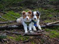 Shelly & Mira, Muss mich leider aus Privaten Gründen