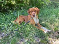 Borko - trotz Handicap voller Lebensfreude!🍀🐶