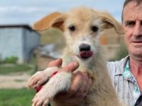 SOS für Loni, sie ist im Shelter ! Extrem süße Loni,