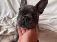 Diese traumhafte kleine Prinzessin sucht ihr