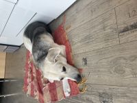 Tequila, Leider müssen wir uns aus familiären Gründen