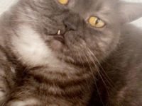 Leider müssen wir uns auch von unserem geliebten Pasa