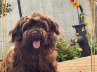 Der Sommer neigt sich nun dem Ende zu. Eine