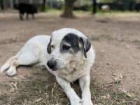 Unsere liebevolle Katia