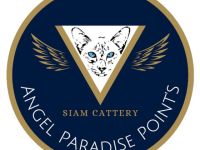 Angel Paradise Point's