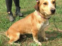 Otto- Wer erklärt mir die Menschenwelt?