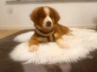 Schweren Herzens müssen wir uns nach knapp 5 Wochen von