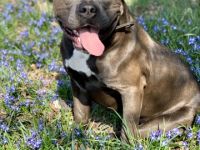 Wir haben uns schweren Herzens dazu entschieden, für