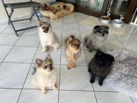 Halli hallo Ihr lieben da draußen! Wir sind eine