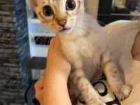 Unser Nesthäkchen darf uns verlassen