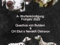 Wir planen im Frühjahr 2023 unseren A-Wurf mit unserer