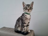 Wir können ab sofort ausziehen. Schwarz weiß ein