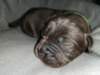 Wir haben dieses Jahr nach 2 Jahren Pause wieder zwei