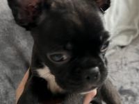 Leider ist die Zeit gekommen das wir uns schweren