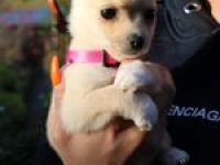 Moin ,wir sind am 12.09.2022 geboren und suchen ab dem