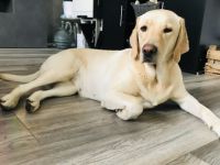 Herzlich Willkommen …. Unsere süßen haben am 12.10. das