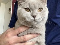 Hallo zusammen, unsere Bade hat am 06.06 6 gesunde