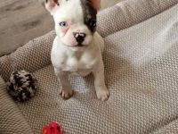 Aus familiären Gründen müssen wir uns leider von