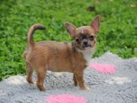 Wir stehen da mit gepackten Köfferchen und dieser