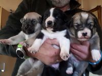 Hallo Du! Unsere Mama hat uns am 19. Oktober auf die