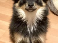 Spikey, Hallo, ich muss mich aus einigen privaten