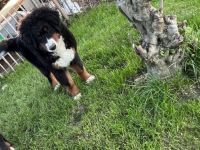 Unsere Kleine Emma ist ein halbes Jahr alt und