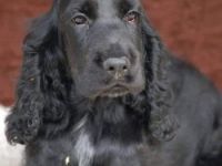 1 Mädchen und 2 Buben suchen noch ihre Familien. Die