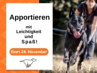 Apportieren für Familienhunde