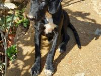 Wir sind Lorenzo, Laluc und Jamie Oliver, ca. 5 Monate