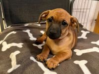 Hallo wir sind zwei Mädels und ein Junge die auf diesen