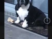 Marki, Hallo, wir müssen uns leider von unserer absolut