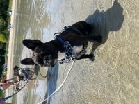 Guten Tag liebe Interessenten am 26.11.2022 hat unsere