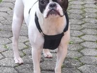 Miki, Leider müssen wir für unsere französische