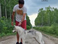 BELLAHUSK'S Le Roy, Unser Junge ist bereit für neues