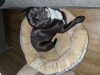 Cookie, Manchmal läuft das Leben nicht so, wie geplant.