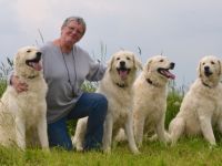 Hundeschule Angelika Lanzerath