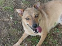 Die liebe Cherry sucht ein Zuhause