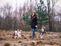 Individuelles Hundetraining + Verhaltensberatung, amtstierärztlich zertifiziert