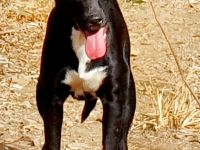 Keith möchte die Welt entdecken