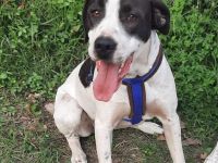 Ronda sucht ihren Platz