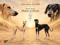 Malek-al-Riyah