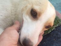 Kimi aucht ihr eigenes Körbchen