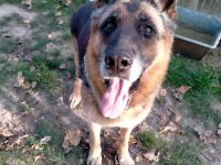 Lupone,er hatte nicht viel aber jetzt hat er nicht einmal mehr das